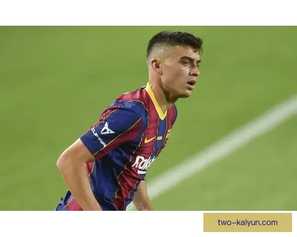 佩德里职业生涯成就盘点：新星崛起之路与关键荣誉回顾